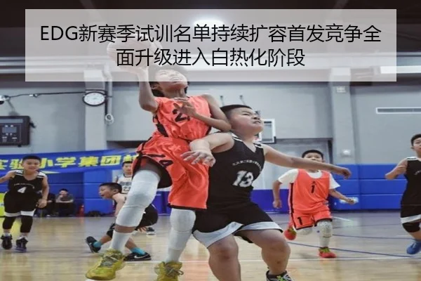 EDG新赛季试训名单持续扩容首发竞争全面升级进入白热化阶段